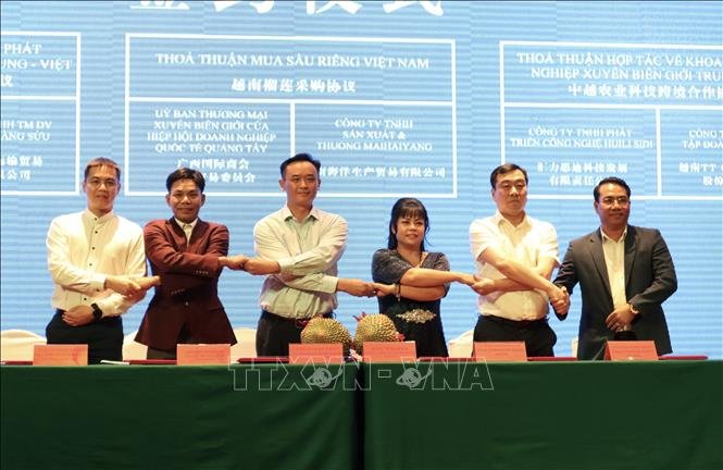 THÚC ĐẨY HỢP TÁC KINH TẾ GIỮA VIỆT NAM - QUẢNG TÂY ( TRUNG QUỐC )
